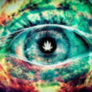 Meet your Posher, Frausto